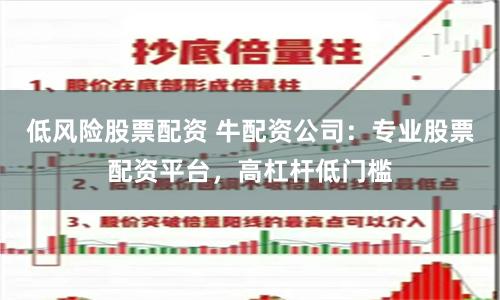 低风险股票配资 牛配资公司：专业股票配资平台，高杠杆低门槛